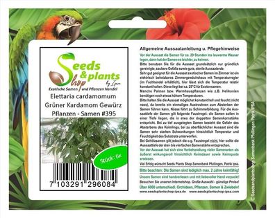 6x Elettaria cardamomum Grüner Kardamom Gewürz Pflanzen - Samen #395