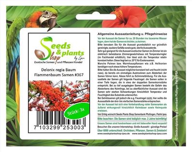 3x Delonix regia Flammenbaum Garten Pflanzen - Samen #367