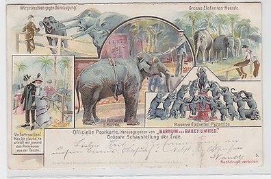 62661 Ak Große Elefanten Schaustellung der Erde Barnum & Bailey 1900