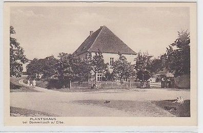 00194 Ak Plantshaus bei Dommitzsch a. Elbe um 1930