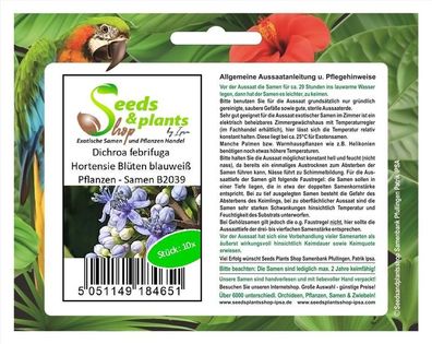 10x Dichroa febrifuga Hortensie Blüten blauweiß Pflanzen - Samen B2039