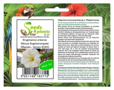 15x Brugmansia arborea Weisse Engelstrompete Pflanzen - Samen B1945
