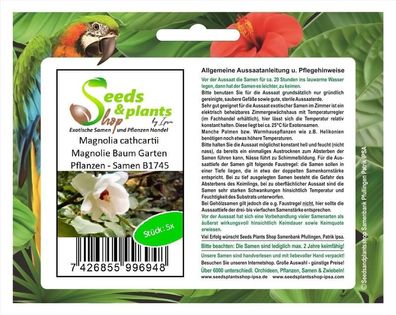 5x Magnolia cathcartii Magnolie Baum Garten Pflanzen - Samen B1745