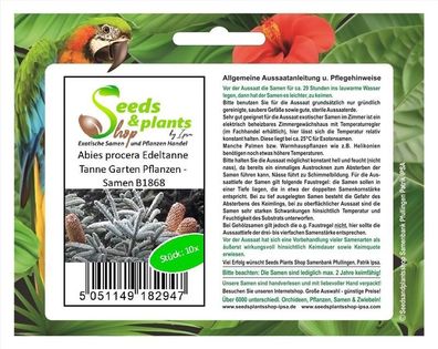 10x Abies procera Edeltanne Tanne Garten Pflanzen - Samen B1868