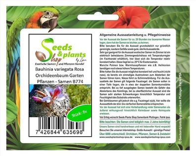 8x Bauhinia variegata Rosa Orchideenbaum Garten Pflanzen - Samen B774