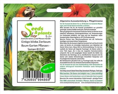 5x Ginkgo biloba Zierbaum Baum Garten Pflanzen - Samen B1537
