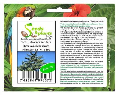 10x Cedrus deodara Konifere Himalaya Zeder Baum Pflanzen - Samen B862