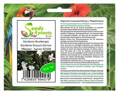 10x Gardenia thunbergia Gardenie Strauch Garten Pflanzen - Samen B1508