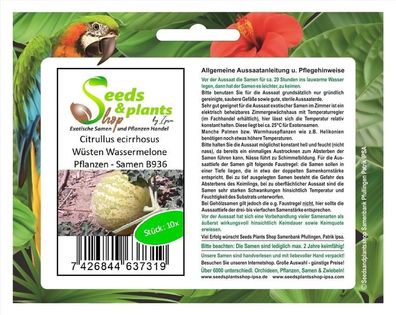 10x Citrullus ecirrhosus Wüsten Wassermelone Pflanzen - Samen B936