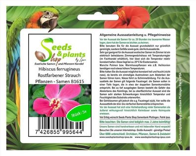 5x Hibiscus ferrugineus Rostfarbener Strauch Pflanzen - Samen B1615