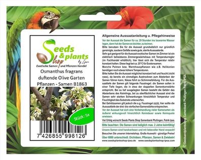 5x Osmanthus fragrans duftende Olive Garten Pflanzen - Samen B1863