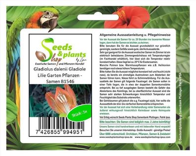 5x Gladiolus dalenii Gladiole Lilie Garten Pflanzen - Samen B1546