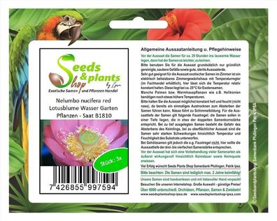 3x Nelumbo nucifera red Lotusblume Wasser Garten Pflanzen - Saat B1810