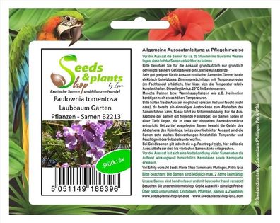 5x Paulownia tomentosa Laubbaum Garten Pflanzen - Samen B2213
