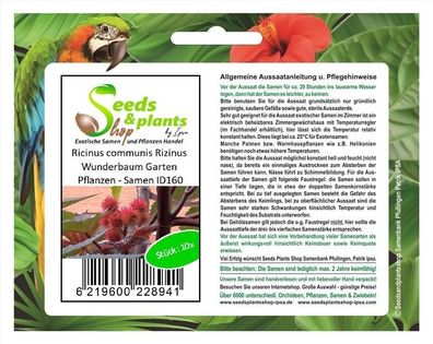 10x Ricinus communis Rizinus Wunderbaum Garten Pflanzen - Samen ID160