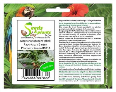 20x Nicotiana tabacum Tabak Rauchtabak Garten Pflanzen - Samen B1833