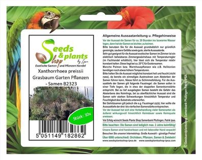 10x Xanthorrhoea preissii Grasbaum Garten Pflanzen - Samen B2323