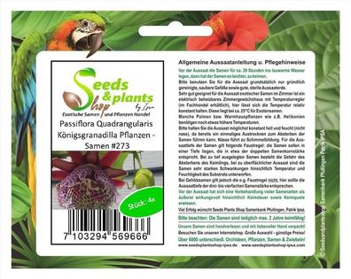 4x Passiflora Quadrangularis Königsgranadilla Pflanzen - Samen #273