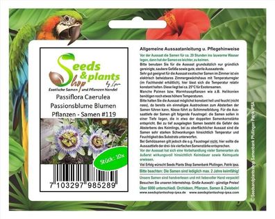 10x Passiflora Caerulea Passionsblume Blumen Pflanzen - Samen #119