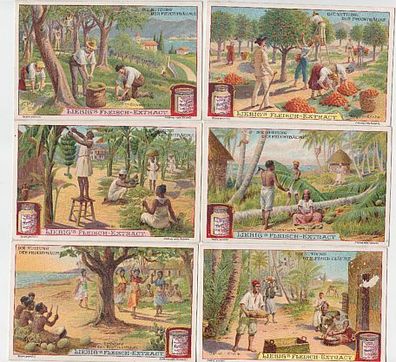 Liebigbilder Serie 713 "Die Nutzung der Fruchtbäume" komplett 1907 (108287)