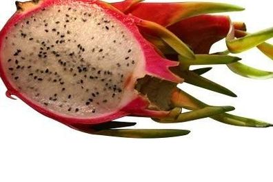 Pitahaya Rote Drachenfrucht 100 Samen * Weißfleischig*