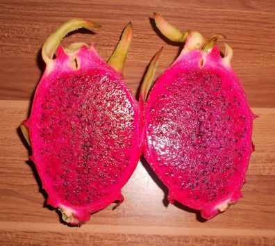 Pitahaya Rote Drachenfrucht 50 Samen * Rotfleischig* ---Selten---