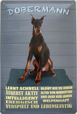 Blechschild 30 x 20 cm Hund: Dobermann