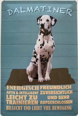 Blechschild 30 x 20 cm Hund: Dalmatiner