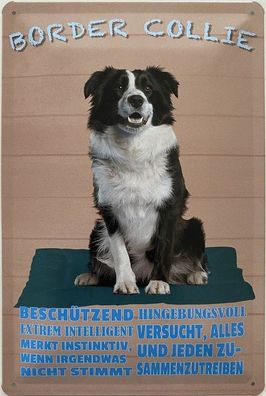 Blechschild 30 x 20 cm Hund: Border Collie