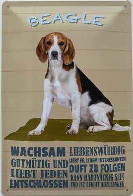 Blechschild 30 x 20 cm Hund: Beagle