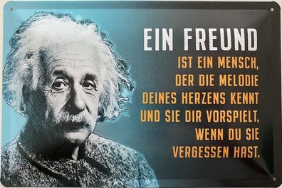 Blechschild 30x20cm Einstein Spruch: Ein Freund !