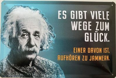 Blechschild 30x20cm Einstein Spruch: Viele Wege zum Glück !