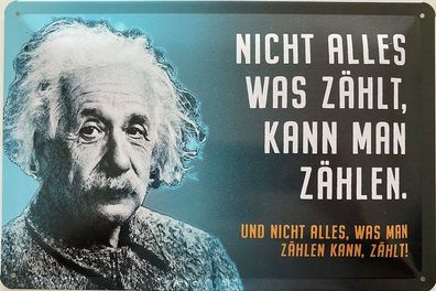 Blechschild 30x20cm Einstein Spruch: Nicht alles was zählt kann man zählen !