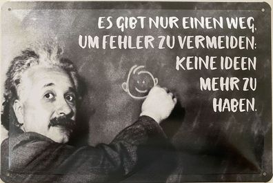 Blechschild 30x20cm Einstein Spruch: Es gibt nur einen Weg !