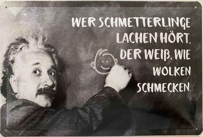 Blechschild 30x20cm Einstein Spruch: Schmetterlinge !