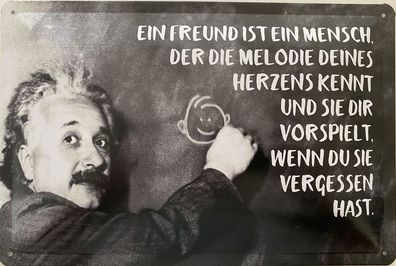 Blechschild 30x20cm Einstein Spruch: Ein Freund ist ein Mensch !