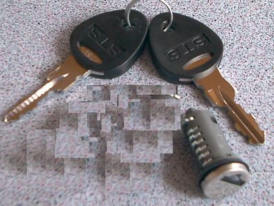 Zylinder 1x und 2 Schlüssel STS Zadi System Schließzylinder 95737p NEU