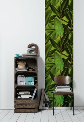 A.S. Création selbstklebende Palmen Tapete Grün 368531s Dschungeltapete Tropisch