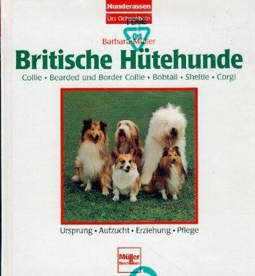 Britische Hütehunde - Collie, Bearded, Border Collie, Bobtail, Sheltie, Corgi