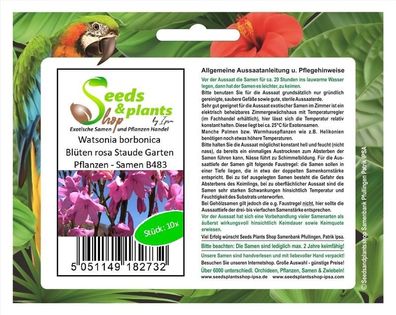 10x Watsonia borbonica Blüten rosa Staude Garten Pflanzen - Samen B483