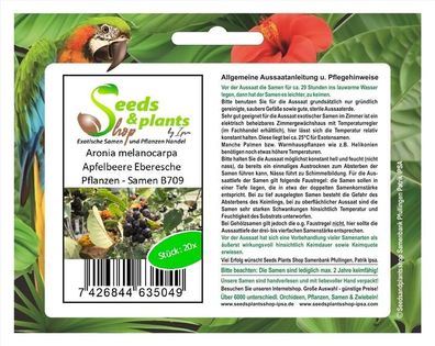 20x Aronia melanocarpa Apfelbeere Eberesche Pflanzen - Samen B709