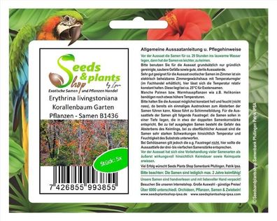5x Erythrina livingstoniana Korallenbaum Garten Pflanzen - Samen B1436