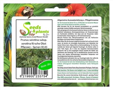 20x Prunus serotina subsp. serotina Kirsche Obst Pflanzen - Samen B141