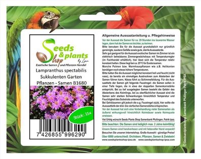 15x Lampranthus spectabilis Sukkulenten Garten Pflanzen - Samen B1680