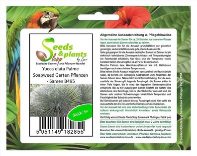 5x Yucca elata Palme Soapweed Garten Pflanzen - Samen B495