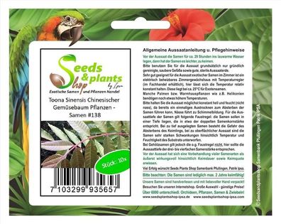 10x Toona Sinensis Chinesischer Gemüsebaum Pflanzen - Samen #138