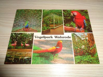 Ansichtskarte, Postkarte-Vogelpark Walsrode