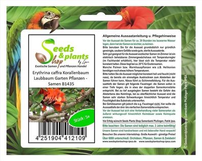 5x Erythrina caffra Korallenbaum Laubbaum Garten Pflanzen - Samen B1435