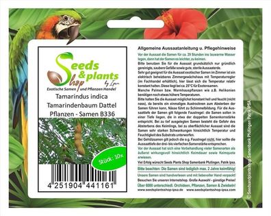 10x Tamarindus indica Tamarindenbaum Dattel Pflanzen - Samen B336