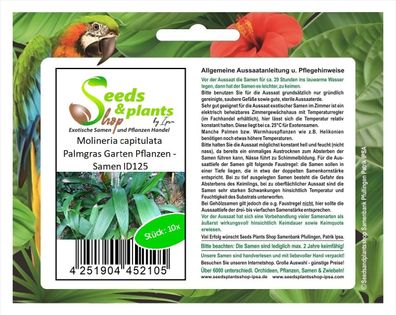 10x Molineria capitulata Palmgras Garten Pflanzen - Samen ID125